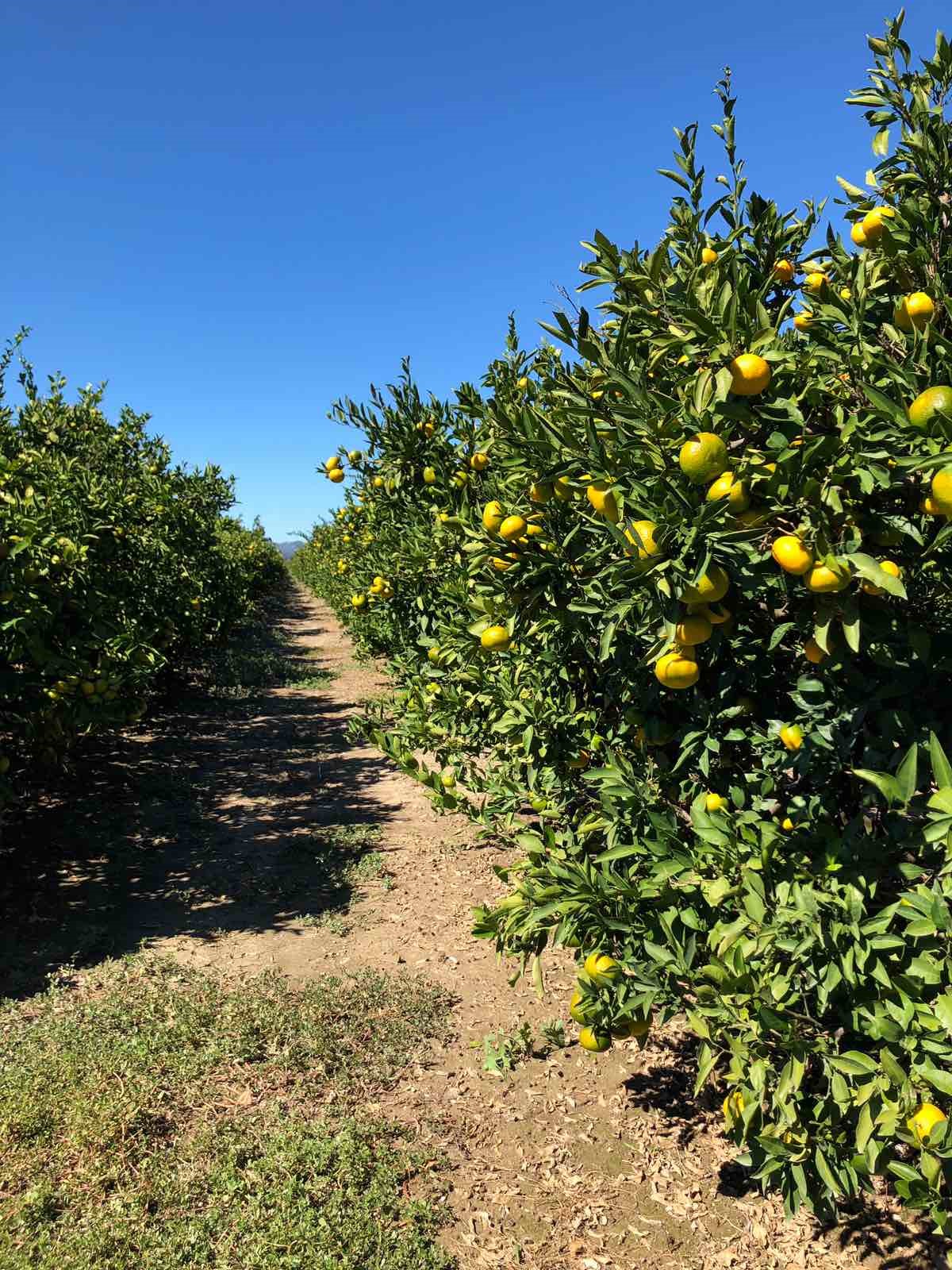 Slika /slike/Priopcenja/01-278-5.jpg