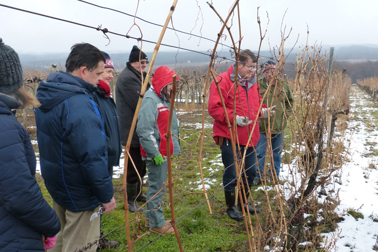 Slika /slike/Priopcenja/2020_02_06_1.jpg