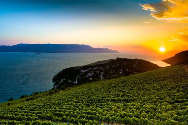 Slika /slike/Priopcenja/2021_08_24volarevic.jpg