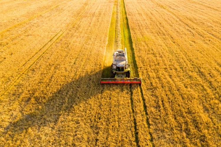 Zagreb otvara novi krug potpora za poljoprivredne projekte Hrvata u BiH za 2026. — image 3