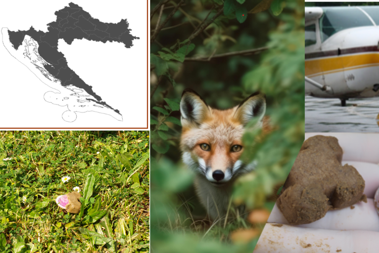 Slika /slike/Priopcenja/vakcinacija_16-dsadasd.png